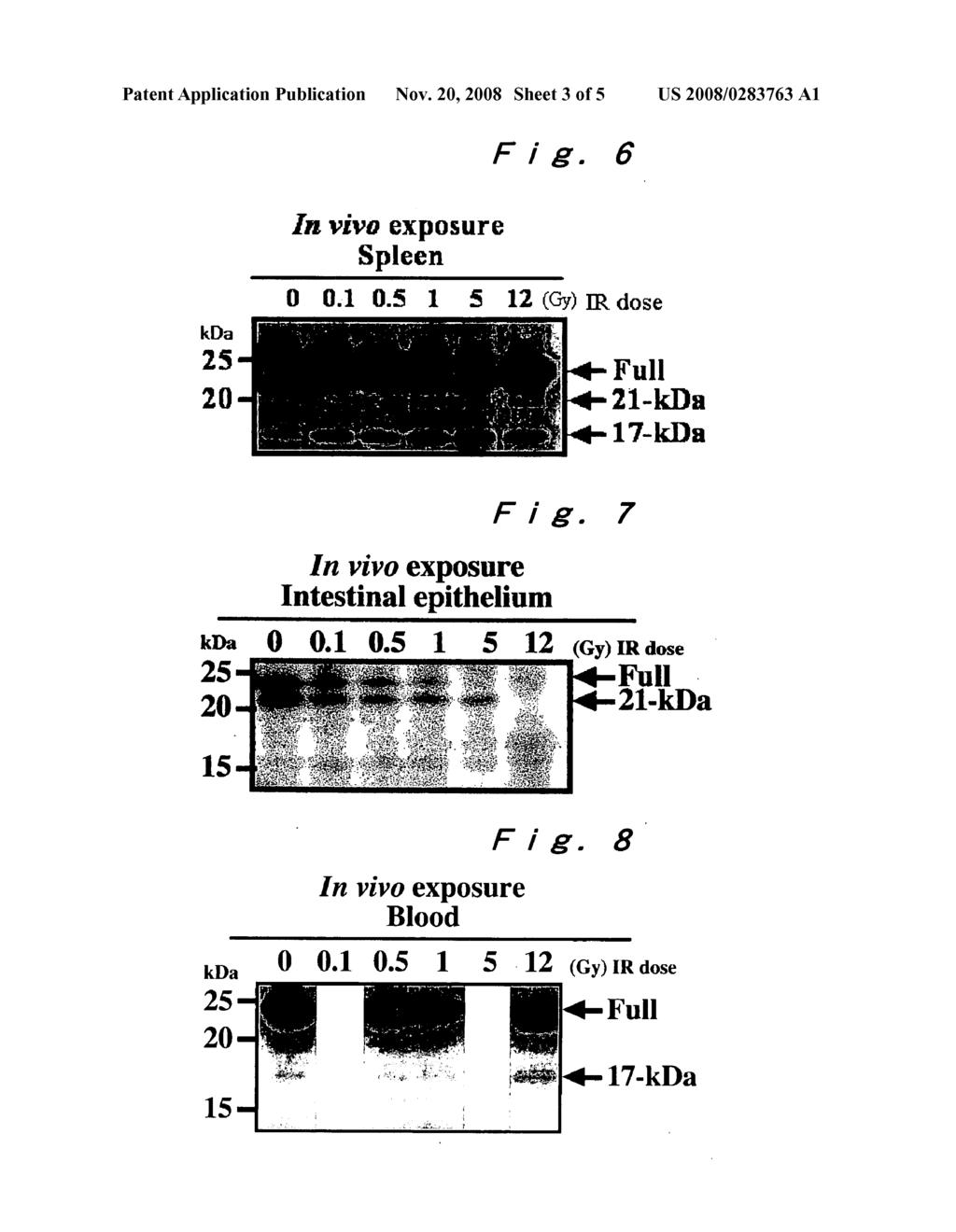 Method of Measuring Exposed Dose of Ionizing Radiation - diagram, schematic, and image 04