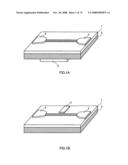 FIELD EFFECT TRANSISTOR, BIOSENSOR PROVIDED WITH IT, AND DETECTING METHOD diagram and image