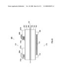 FIELD EFFECT TRANSISTOR, BIOSENSOR PROVIDED WITH IT, AND DETECTING METHOD diagram and image