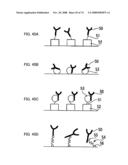 FIELD EFFECT TRANSISTOR, BIOSENSOR PROVIDED WITH IT, AND DETECTING METHOD diagram and image