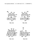FIELD EFFECT TRANSISTOR, BIOSENSOR PROVIDED WITH IT, AND DETECTING METHOD diagram and image