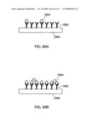 FIELD EFFECT TRANSISTOR, BIOSENSOR PROVIDED WITH IT, AND DETECTING METHOD diagram and image