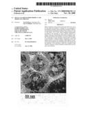 Metal-Vanadium-Oxide Product and Producing Process diagram and image