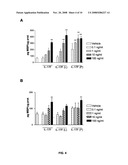 Use of Il-17F for the Treatment and/or Prevention of Neurologic Diseases diagram and image