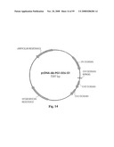 Compositions of PSMA antibodies diagram and image