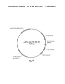 Compositions of PSMA antibodies diagram and image