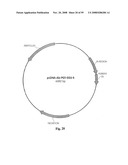 Compositions of PSMA antibodies diagram and image