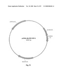 Compositions of PSMA antibodies diagram and image