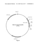 Compositions of PSMA antibodies diagram and image