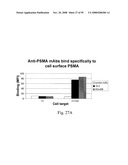 Compositions of PSMA antibodies diagram and image