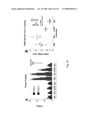 Compositions of PSMA antibodies diagram and image