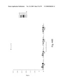 Compositions of PSMA antibodies diagram and image