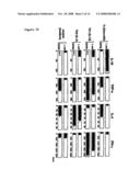 Methods to Treat Disease States by Influencing the Signaling of Ox-40-Receptors and High Throughput Screening Methods for Identifying Substances Therefor diagram and image