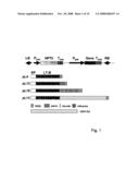 Chimeric Carrier Molecules for the Production of Mucosal Vaccines diagram and image