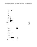 Chimeric Carrier Molecules for the Production of Mucosal Vaccines diagram and image