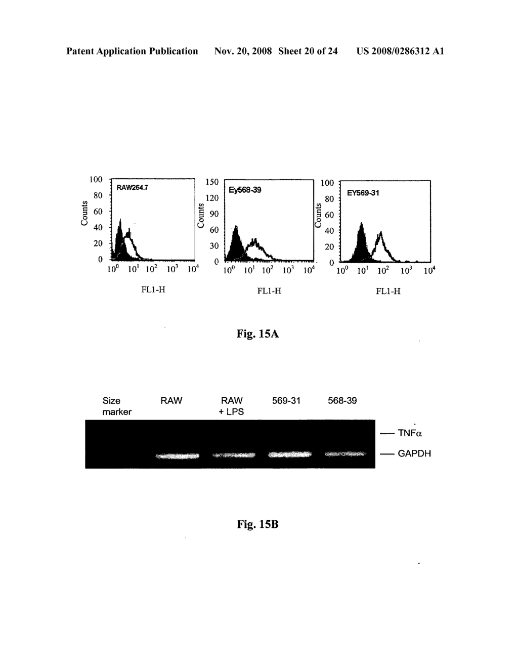 Membrane-anchored beta2 microglobulincovalently linked to MHC class I peptide epitopes - diagram, schematic, and image 21