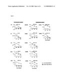 Peptide Vaccines for the Treatment of Cancers diagram and image