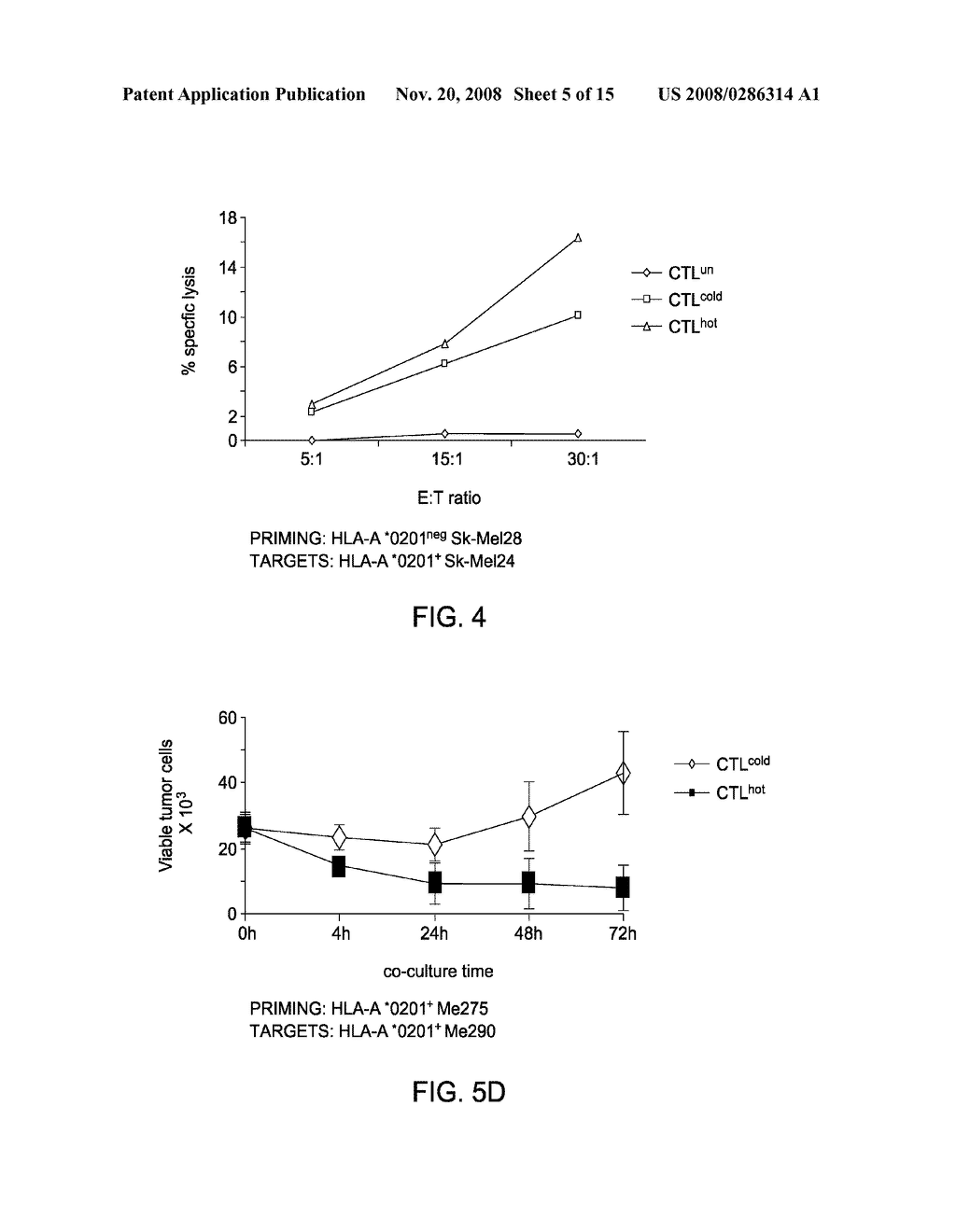 Dendritic cells loaded with heat shocked melanoma cell bodies - diagram, schematic, and image 06