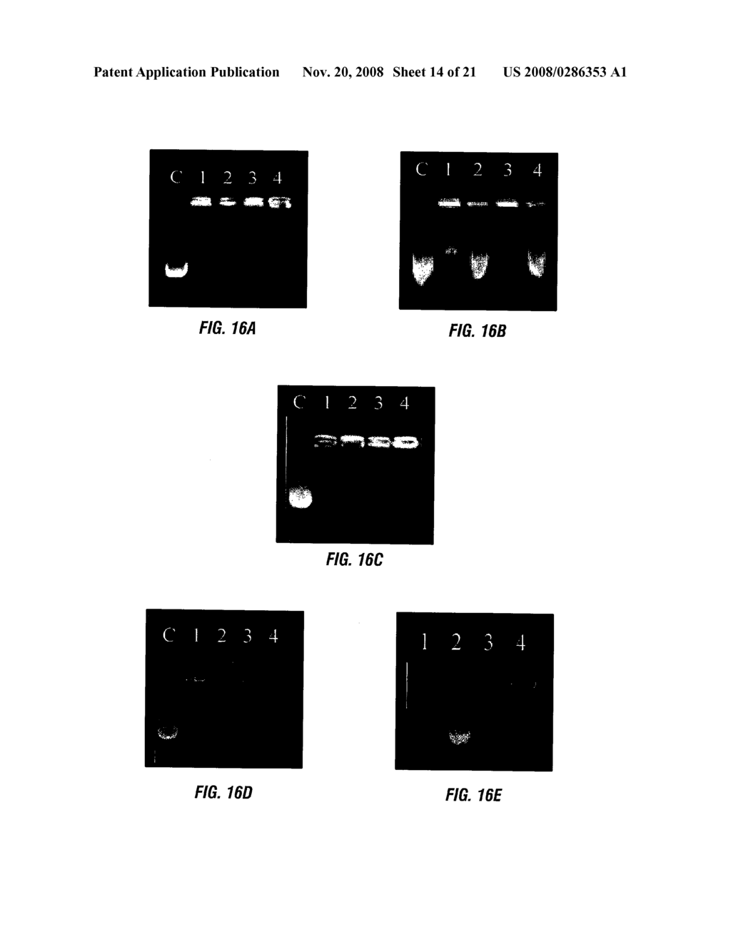 CATIONIC LIPOSOMES CONTAINING IMMUNE RESPONSE GENERATING MOIETIES - diagram, schematic, and image 15