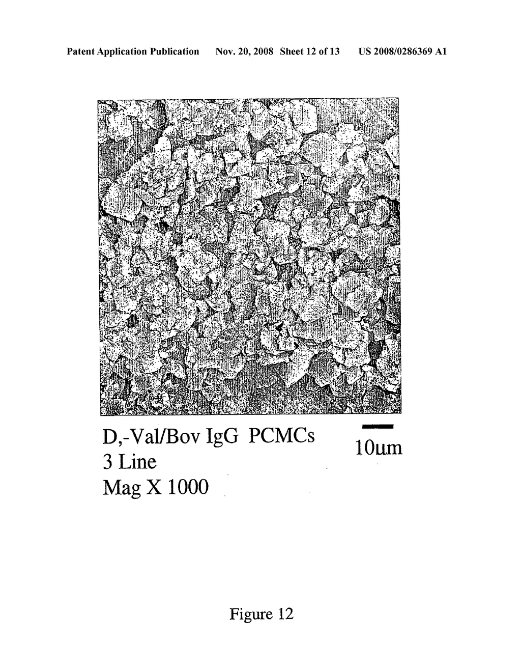 Process for Preparing Microcrystals - diagram, schematic, and image 13