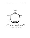 ENHANCED PROTEIN EXPRESSION USING AUTO-INDUCTION MEDIA diagram and image