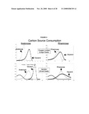 ENHANCED PROTEIN EXPRESSION USING AUTO-INDUCTION MEDIA diagram and image