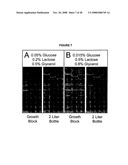 ENHANCED PROTEIN EXPRESSION USING AUTO-INDUCTION MEDIA diagram and image