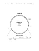 ENHANCED PROTEIN EXPRESSION USING AUTO-INDUCTION MEDIA diagram and image