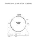 ENHANCED PROTEIN EXPRESSION USING AUTO-INDUCTION MEDIA diagram and image