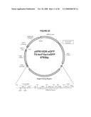 ENHANCED PROTEIN EXPRESSION USING AUTO-INDUCTION MEDIA diagram and image