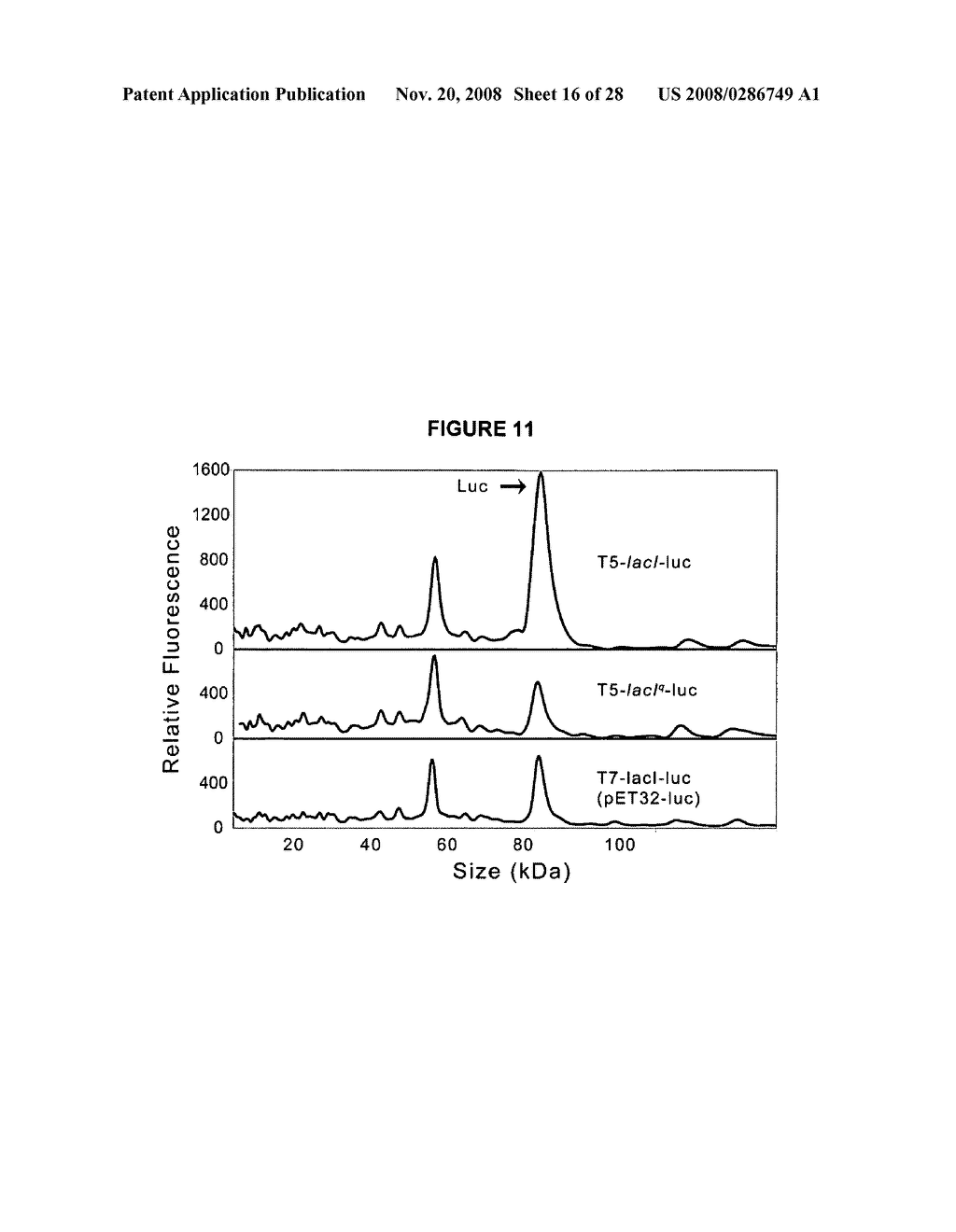 ENHANCED PROTEIN EXPRESSION USING AUTO-INDUCTION MEDIA - diagram, schematic, and image 17