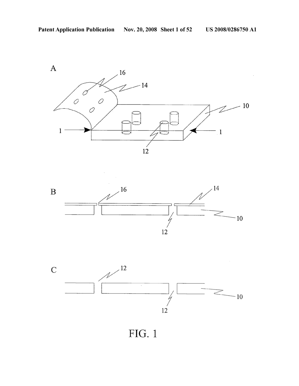 APPARATUS INCLUDING ION TRANSPORT DETECTING STRUCTURES AND METHODS OF USE - diagram, schematic, and image 02