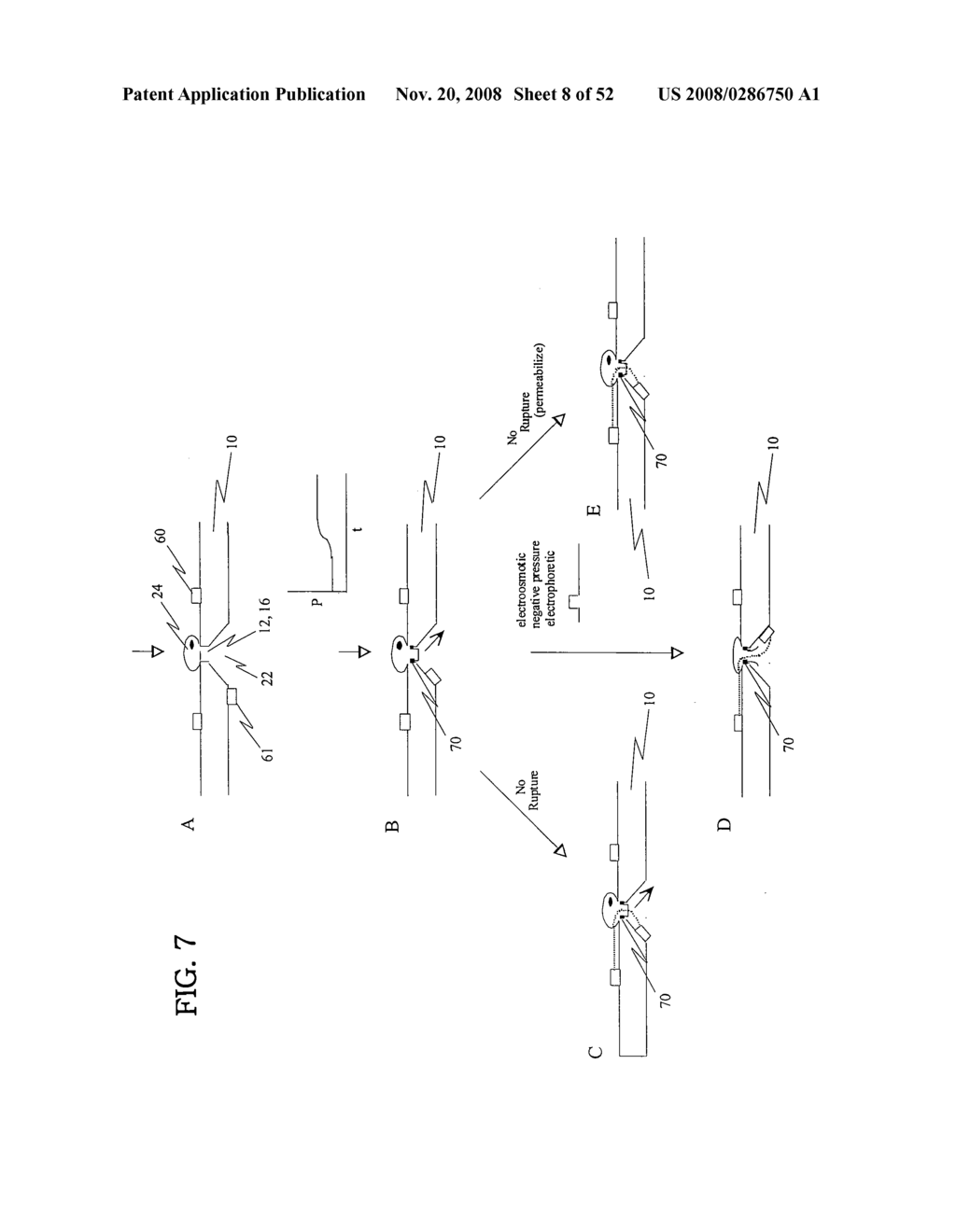 APPARATUS INCLUDING ION TRANSPORT DETECTING STRUCTURES AND METHODS OF USE - diagram, schematic, and image 09
