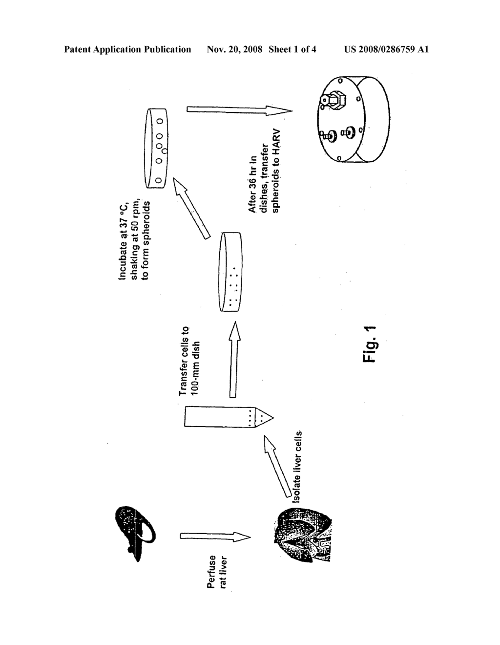 Hepatocyte Bioreactor System For Long Term Culture of Functional Hepatocyte Spheroids - diagram, schematic, and image 02