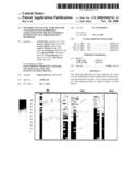 Methods and Nucleic Acids for the Analysis of Gene Expression Associated with the Development of Prostate Cell Proliferative Disorders diagram and image