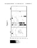 Methods and Nucleic Acids for the Analysis of Gene Expression Associated with the Development of Prostate Cell Proliferative Disorders diagram and image