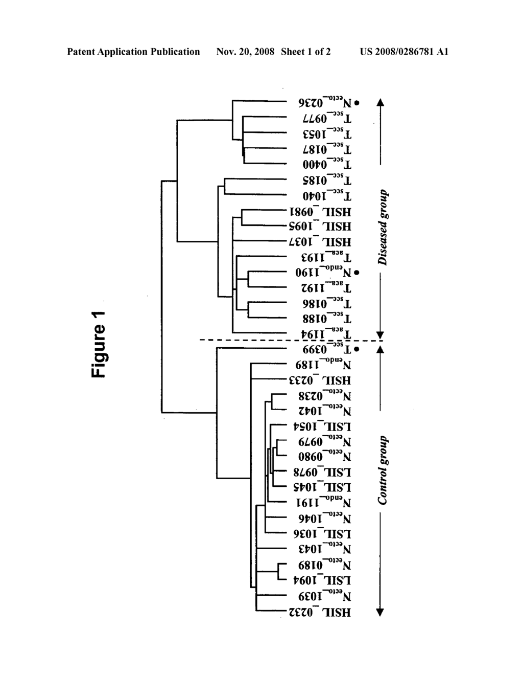 Compositions, kits, and methods for identification, assessment, prevention, and therapy of cervical cancer - diagram, schematic, and image 02