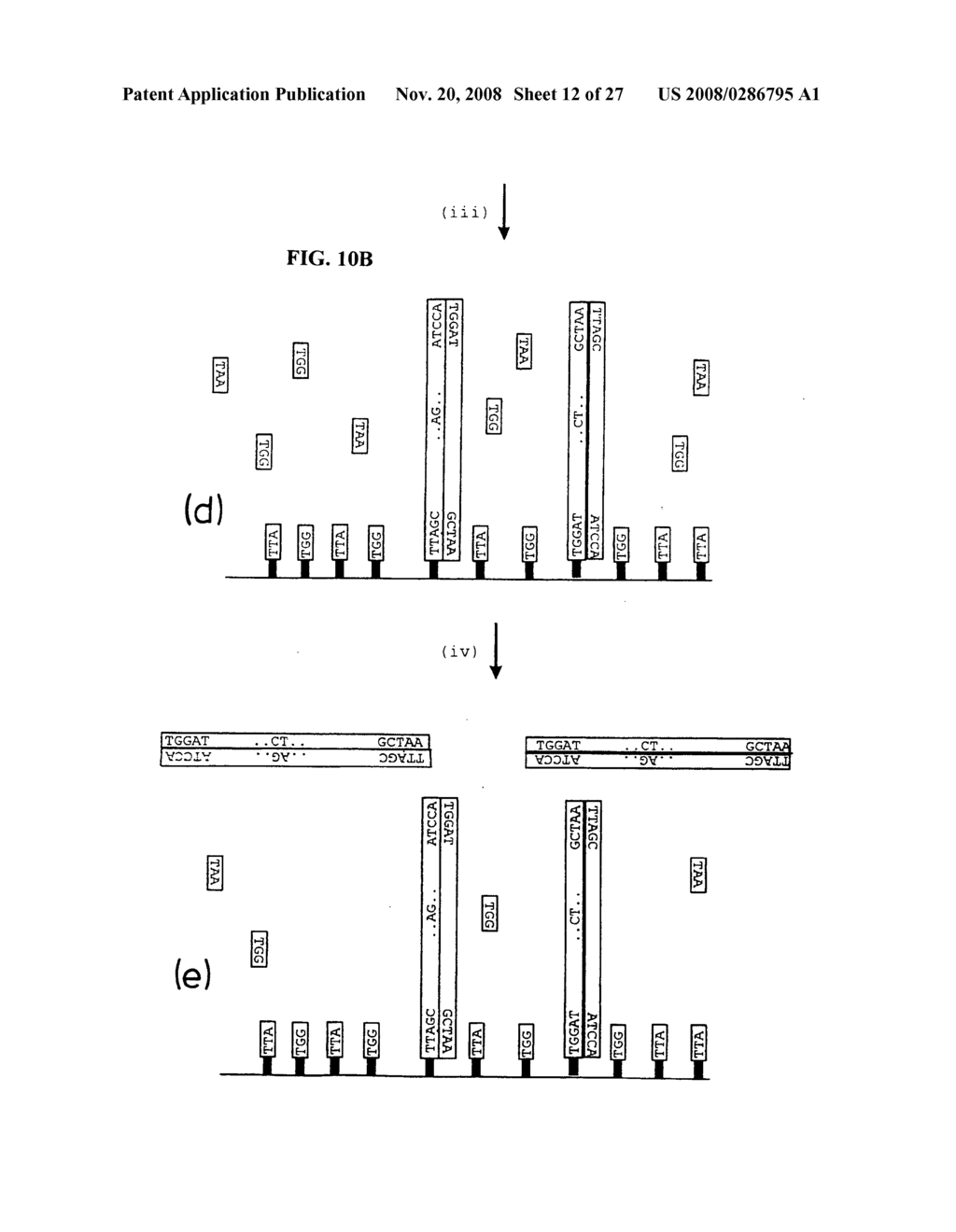 Method of nucleic acid amplification - diagram, schematic, and image 13