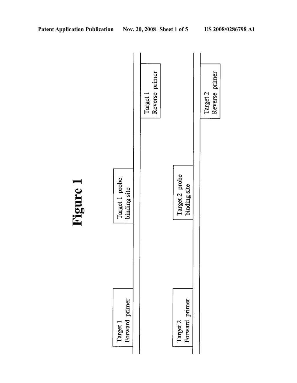 CONTROLS FOR PRIMERS IN MULTIPLEX AMPLIFICATION REACTIONS - diagram, schematic, and image 02