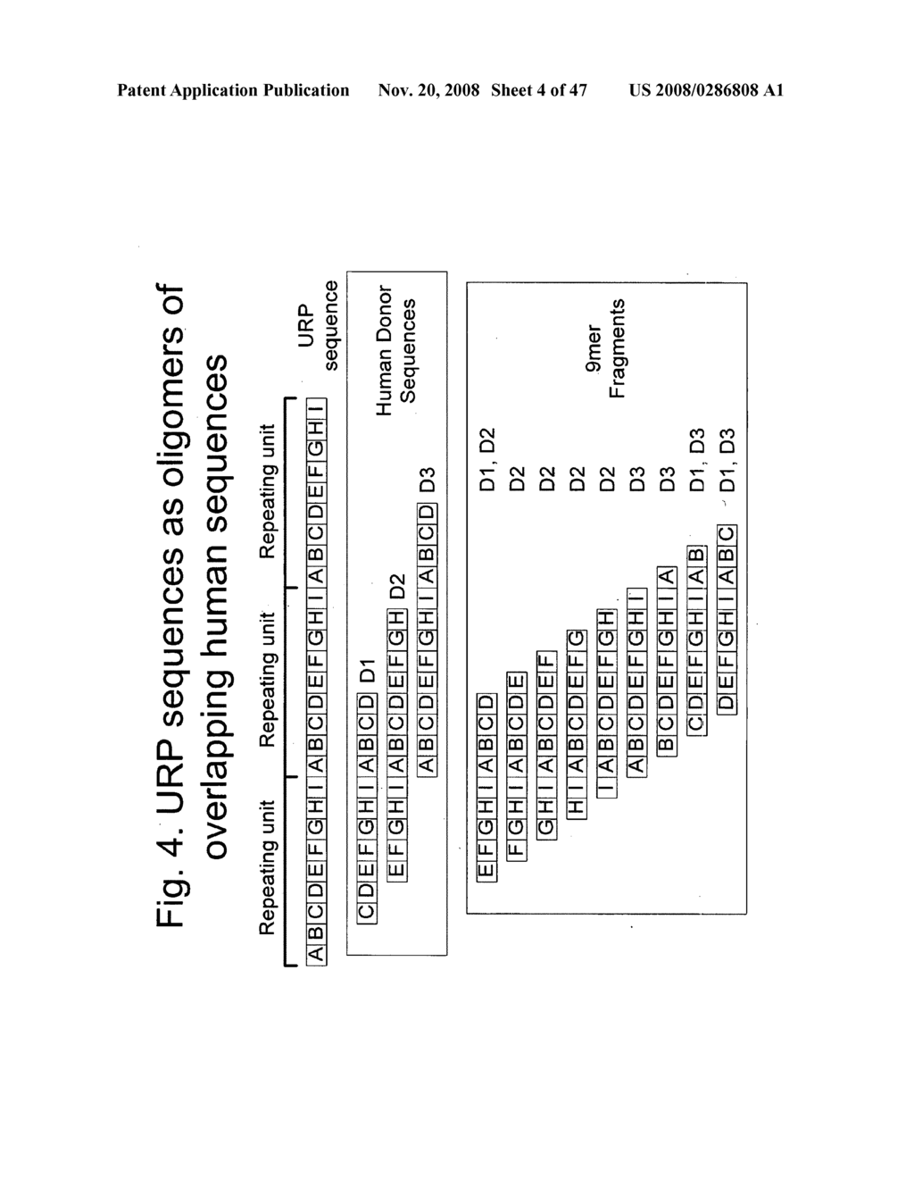 Methods for production of unstructured recombinant polymers and uses thereof - diagram, schematic, and image 05