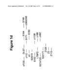 Antibody specific for mutant presenilin 1 and method of use thereof diagram and image