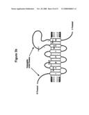 Antibody specific for mutant presenilin 1 and method of use thereof diagram and image