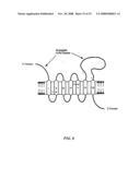 Antibody specific for mutant presenilin 1 and method of use thereof diagram and image