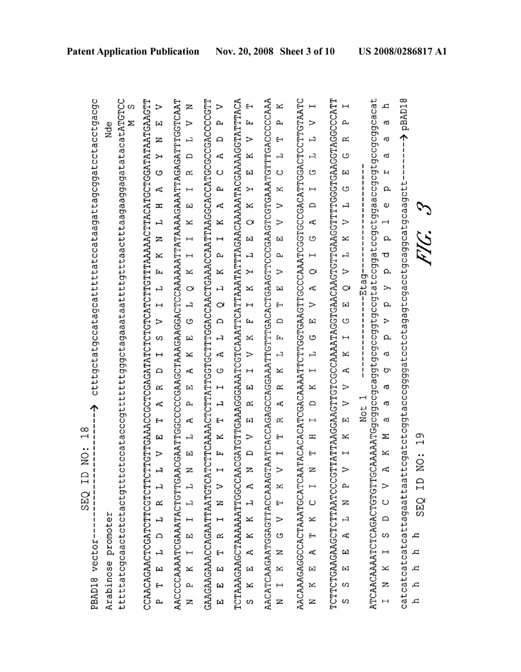 NOVEL ALLERGENS AND TREATMENT - diagram, schematic, and image 04