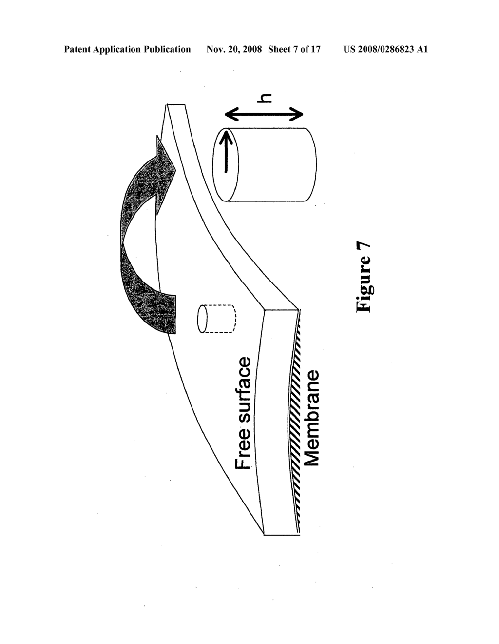 Apparatus and method to measure platelet contractility - diagram, schematic, and image 08