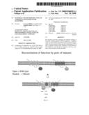 MATERIALS AND METHODS RELATING TO G-PROTEIN COUPLED RECEPTOR OLIGOMERS diagram and image