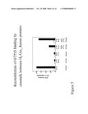 MATERIALS AND METHODS RELATING TO G-PROTEIN COUPLED RECEPTOR OLIGOMERS diagram and image