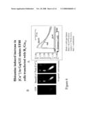 MATERIALS AND METHODS RELATING TO G-PROTEIN COUPLED RECEPTOR OLIGOMERS diagram and image