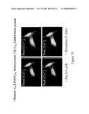 MATERIALS AND METHODS RELATING TO G-PROTEIN COUPLED RECEPTOR OLIGOMERS diagram and image