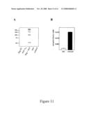 MATERIALS AND METHODS RELATING TO G-PROTEIN COUPLED RECEPTOR OLIGOMERS diagram and image